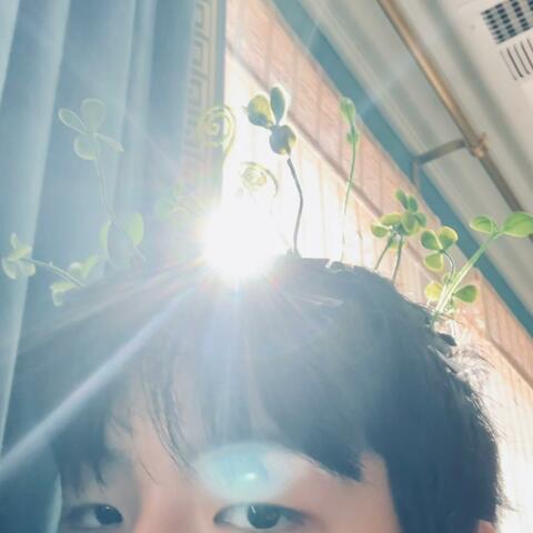 Sprouts (TEASER 2)