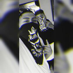 Volando Bajo (feat. Bosek ZB)