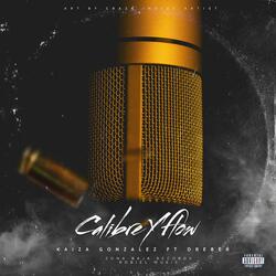 Calibre & Flow (feat. Dreber)