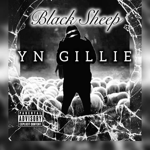 Black Sheep