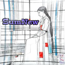 SumNew