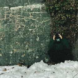 ski jumping 0301 (sped up)