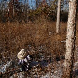 The Hill I'll Die On