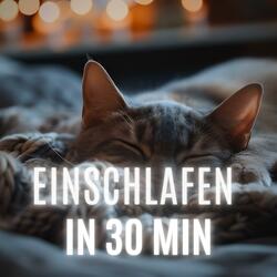 Einschlafen in 30 Minuten (beruhigender Regen)