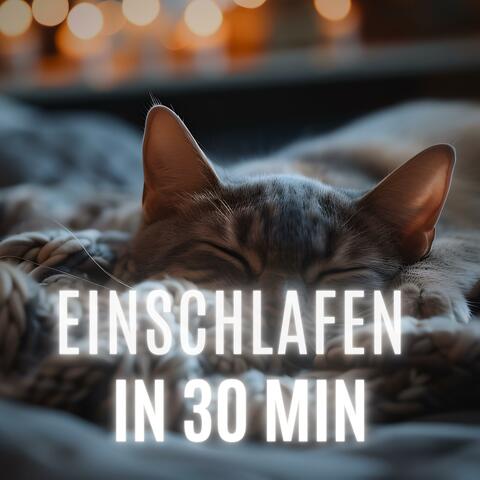 Einschlafen in 30 Minuten (beruhigender Regen)