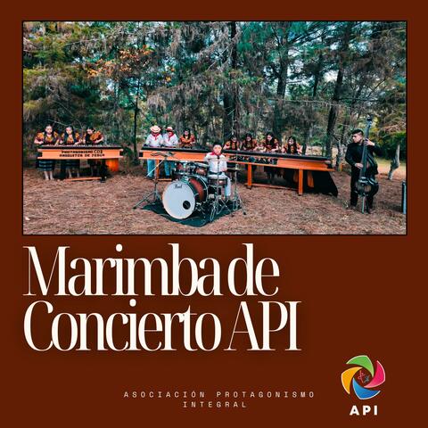 Marimba de Concierto Api