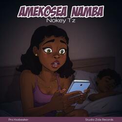 Amekosea Namba