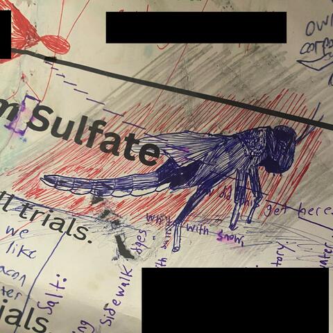 sucker (Fast switching)