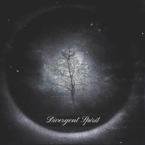 Divergent Spirit