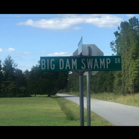Swamp Party