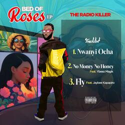NO MONEY NO HONEY (feat. Ybeez Magik)