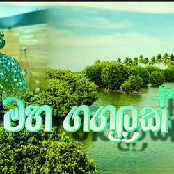 Maha Gangulak (feat. Dammika)