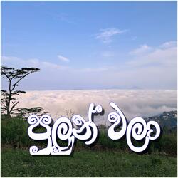 Pulun Wala (feat. Dammika)