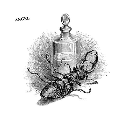 Angel
