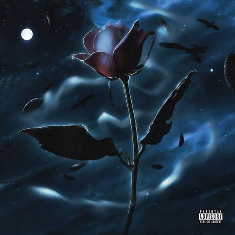 Just wrong (feat. Cashoutblu)