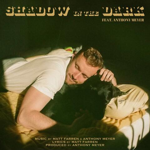 Shadow in the Dark (feat. Anthony Meyer)