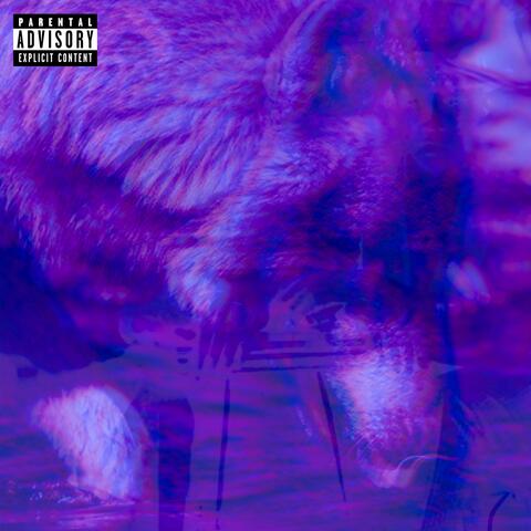 DOGWATER