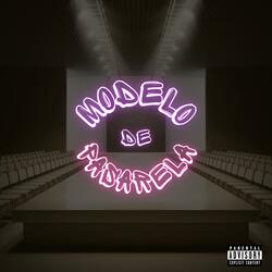 Modelo De Pasarela