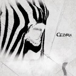 Cebra