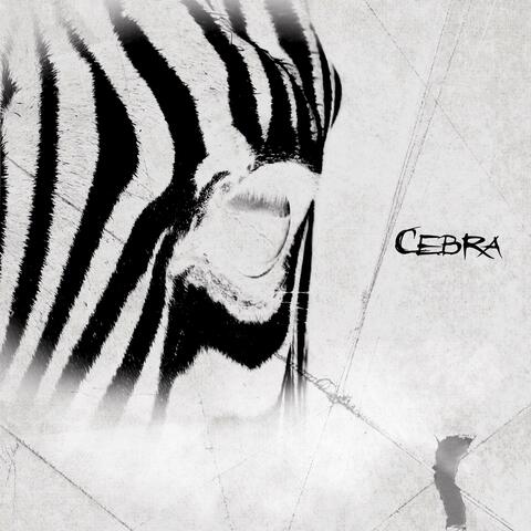 Cebra