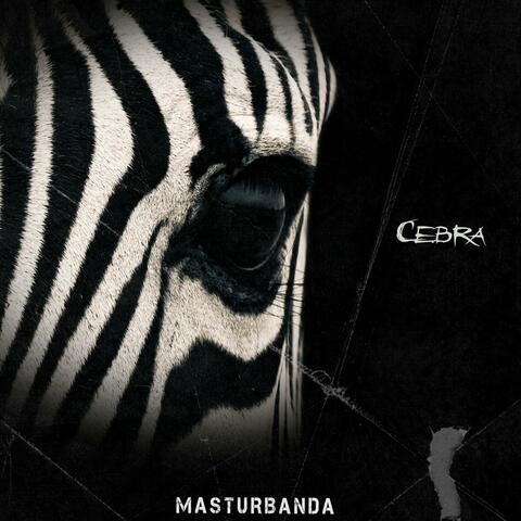 Cebra