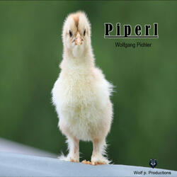 Piperl