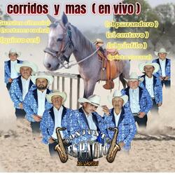 Pequeña y fragil