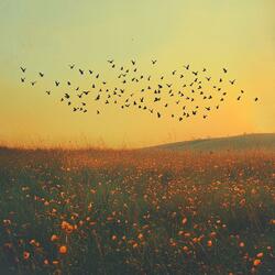 The Way Spring Used to Feel