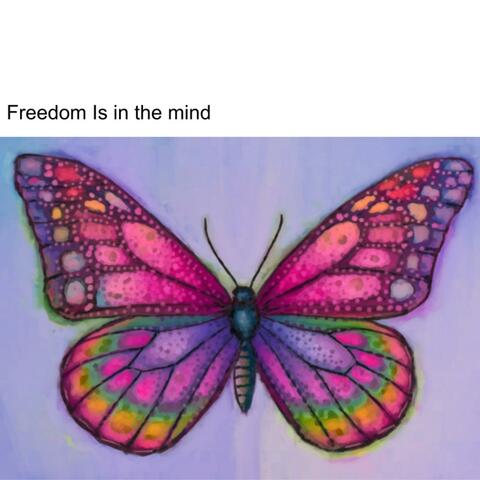 Freedom is in the mind