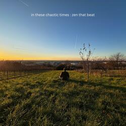 In These Chaotic Times