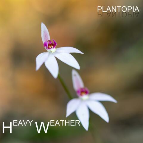 Heavy Weather