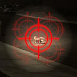 in sights