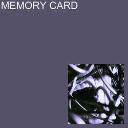 Memory Card