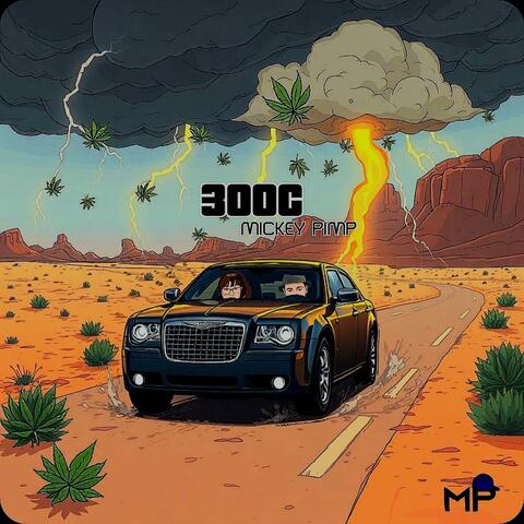 300C