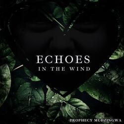 Echoes (feat. Dan Jackson, Martine Holliday & Anson Young)