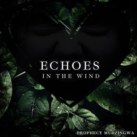 Echoes (feat. Dan Jackson, Martine Holliday & Anson Young)