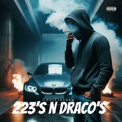 223's N Draco's