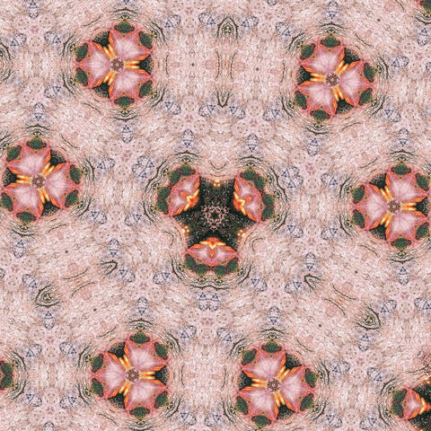 Burning Blossom