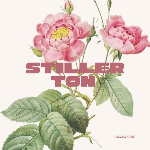 Stiller Ton