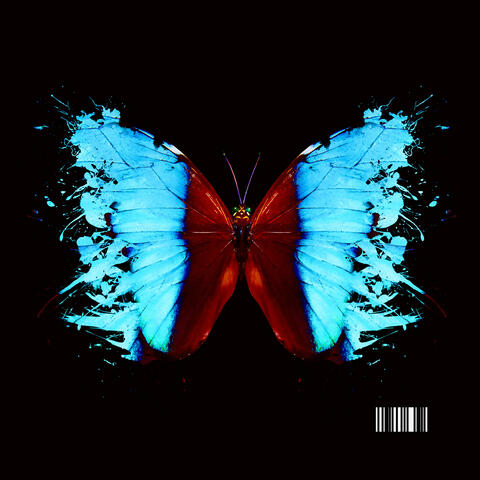 What Miracles are Made of