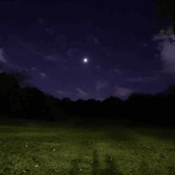 melatonin