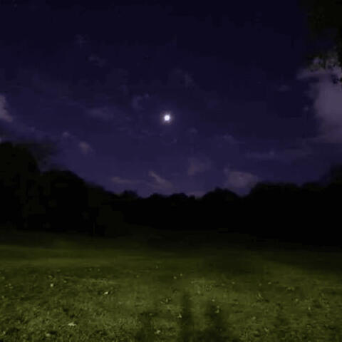 melatonin