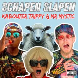Schapen Slapen