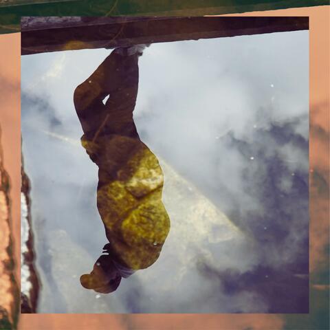 Zweieinhalb Dekaden (feat. blackpalm)