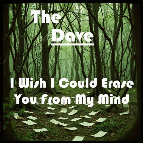 I Wish I Could Erase You From My Mind