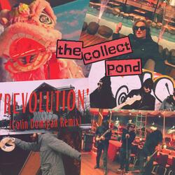 Revolution (Colin Domigan Remix)