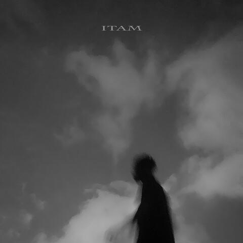 I.T.A.M.