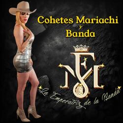 Cohetes Mariachi y Banda