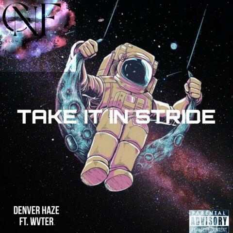 Take It In Stride