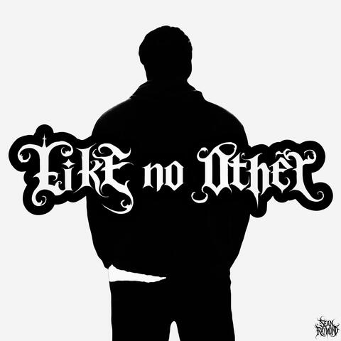 Like No Other